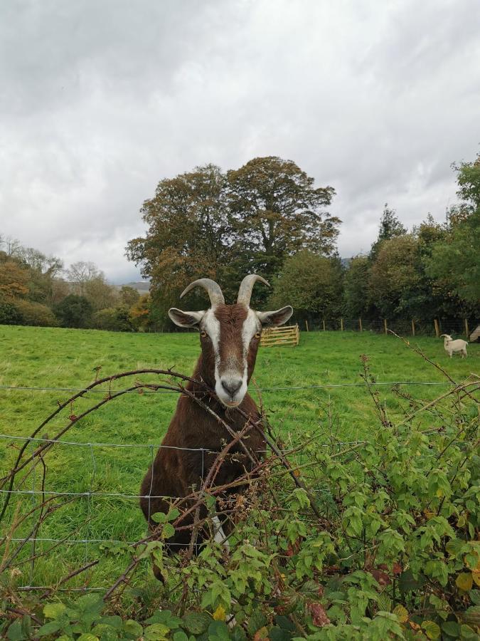Rainors Farm Cottage Gosforth  Buitenkant foto